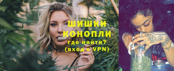 ПСИЛОЦИБИНОВЫЕ ГРИБЫ Баксан