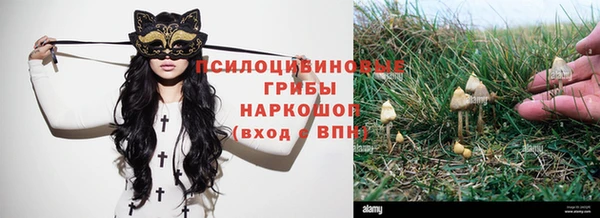дурь Аркадак