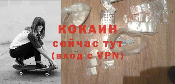 индика Алексин