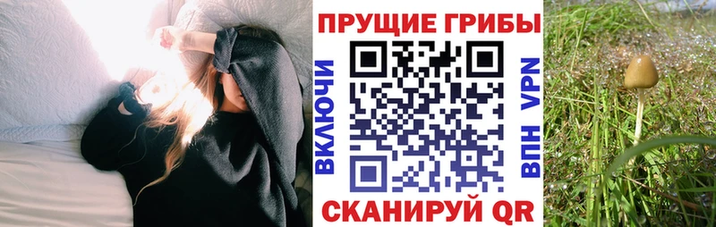Псилоцибиновые грибы MAGIC MUSHROOMS  наркотики  Дегтярск 