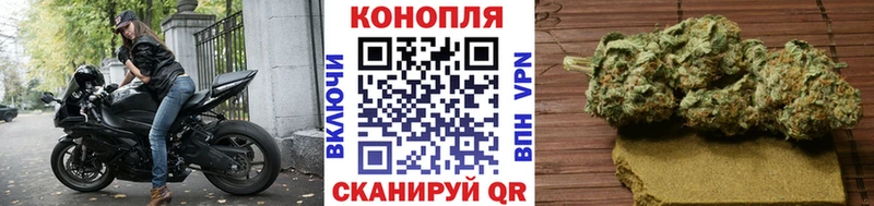 Конопля ГИДРОПОН Дегтярск